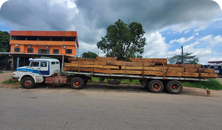 Operativo en San Ramón logra el decomiso de madera preciosa valuada en aproximadamente Bs. 90.000